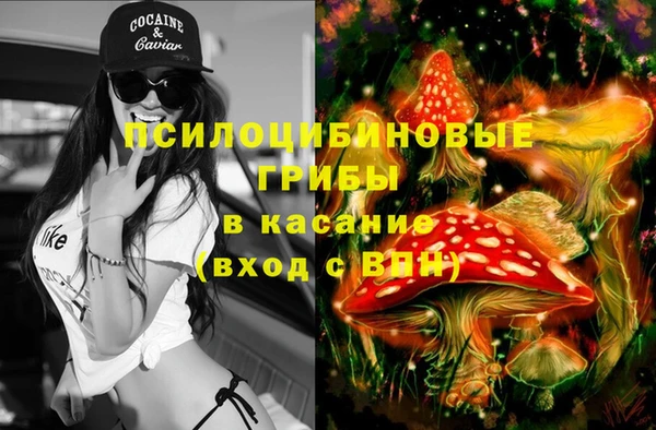 ALPHA-PVP Вяземский